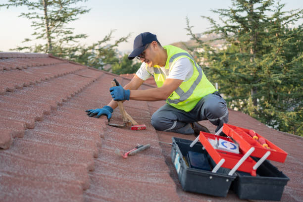 Best Local Roofing Companies  in Pulaski, VA